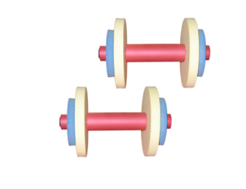 Tạ đôi luyện Gyms 04A